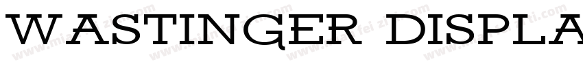wastinger display regular字体转换
